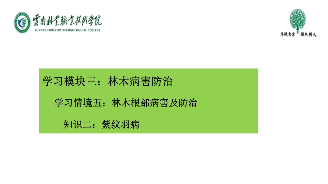紫纹羽病