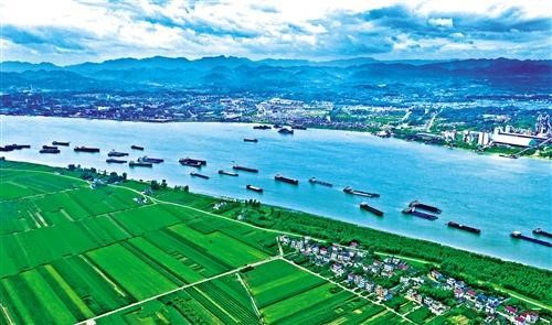 长江经济带国土绿化提质关键技术研究与示范[登记证书]